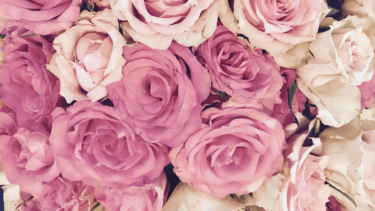 ありがとうを花に込めて｜母の日にぴったりの花と感動を届ける贈り方ガイド