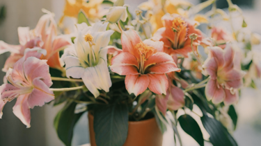 新しい役職を祝う：印象的な就任祝いの花アレンジメント