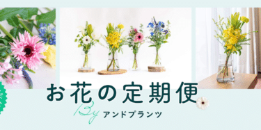 アンドプランツのお花の定期便の評判、口コミは？