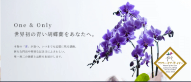 Blue Gene Storeの口コミから評判を徹底調査!利用方法は？